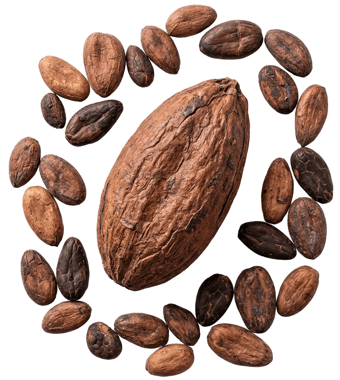 Sementes de cacau